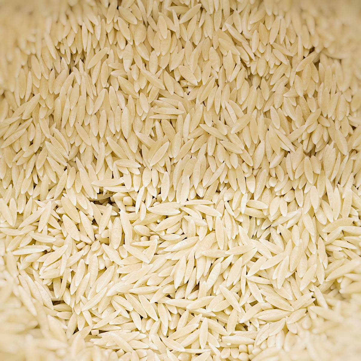 Risoni Gluten & Wheat Free