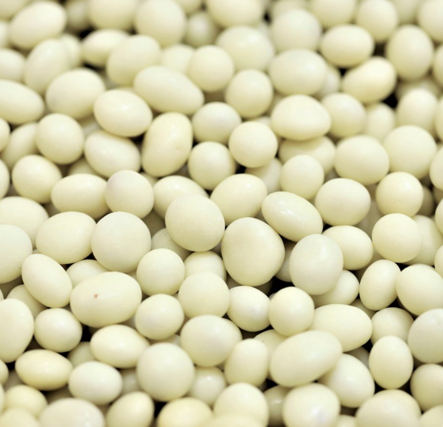 yoghurt-sultanas-nas-bulk