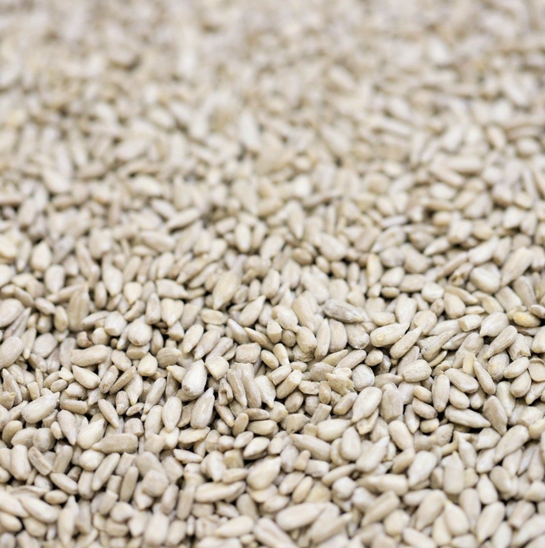 SUNFLOWER SEEDS WESTERN AUSTRALIAN - Bulk