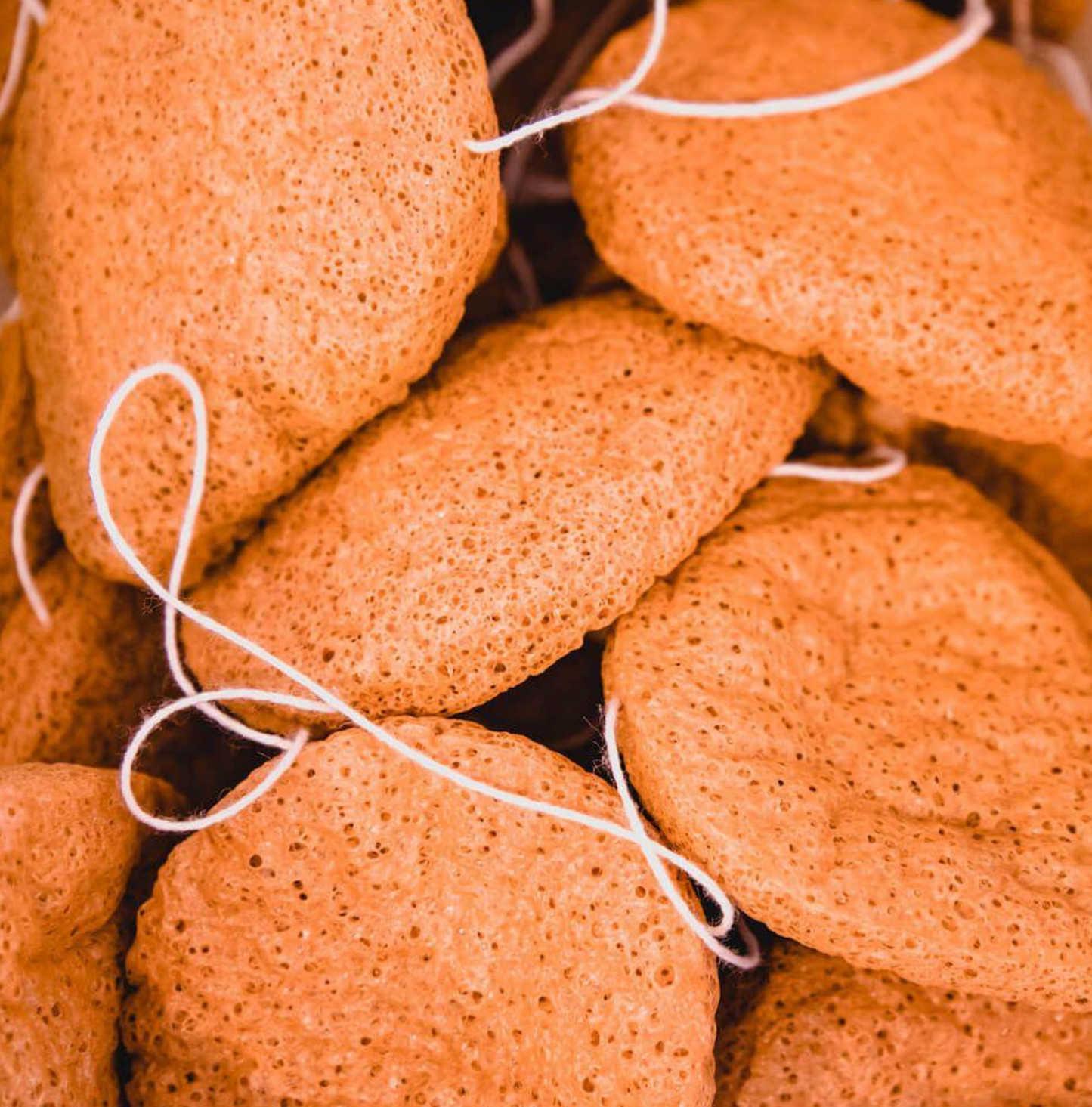 KONJAC FRENCH SPONGES FACIAL ALOE