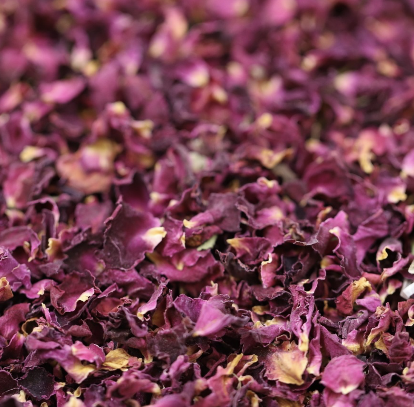 rose-petals-tea-bulk