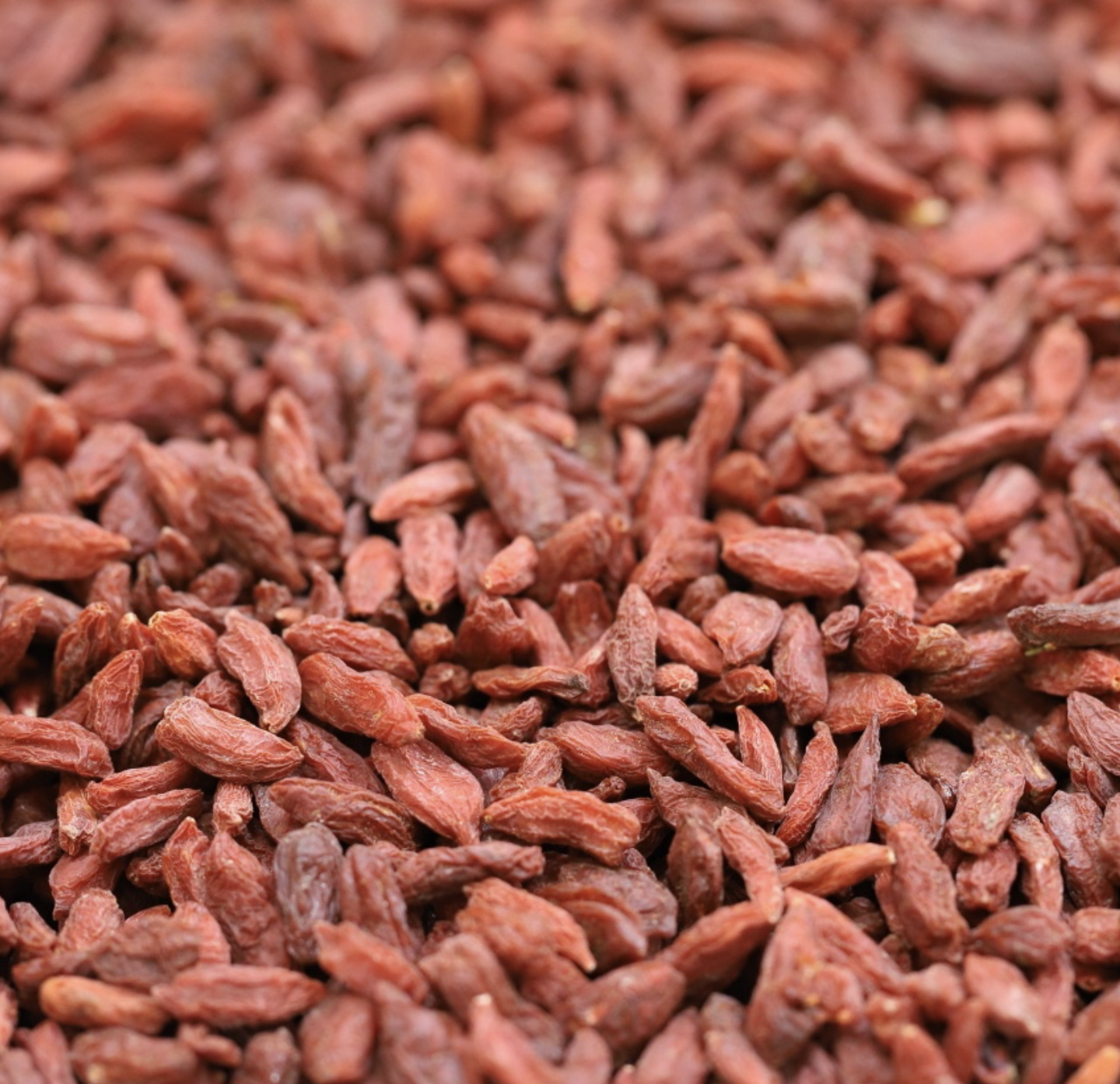 goji-berries-organic-bulk