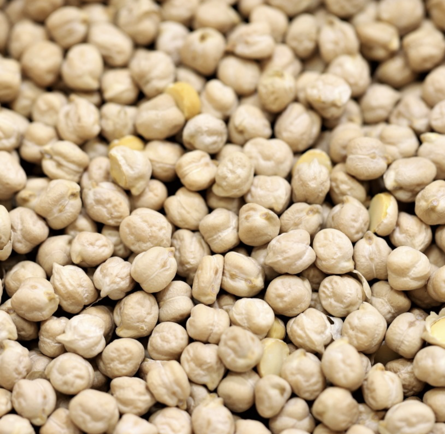 chickpeas-organic-bulk
