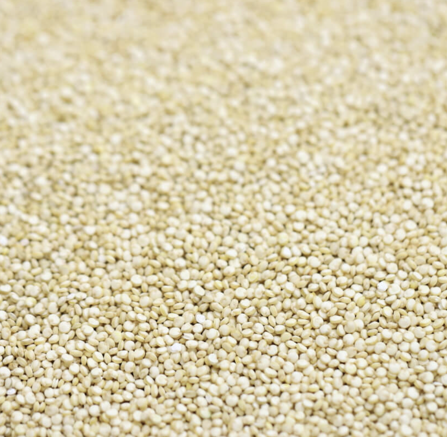 quinoa-white-organic-bulk