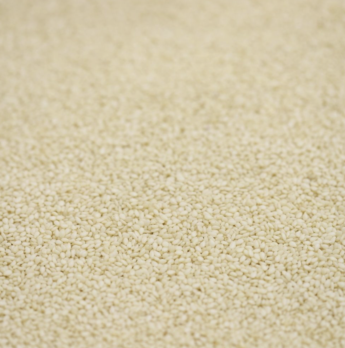SESAME SEEDS HULLED ORGANIC - Bulk