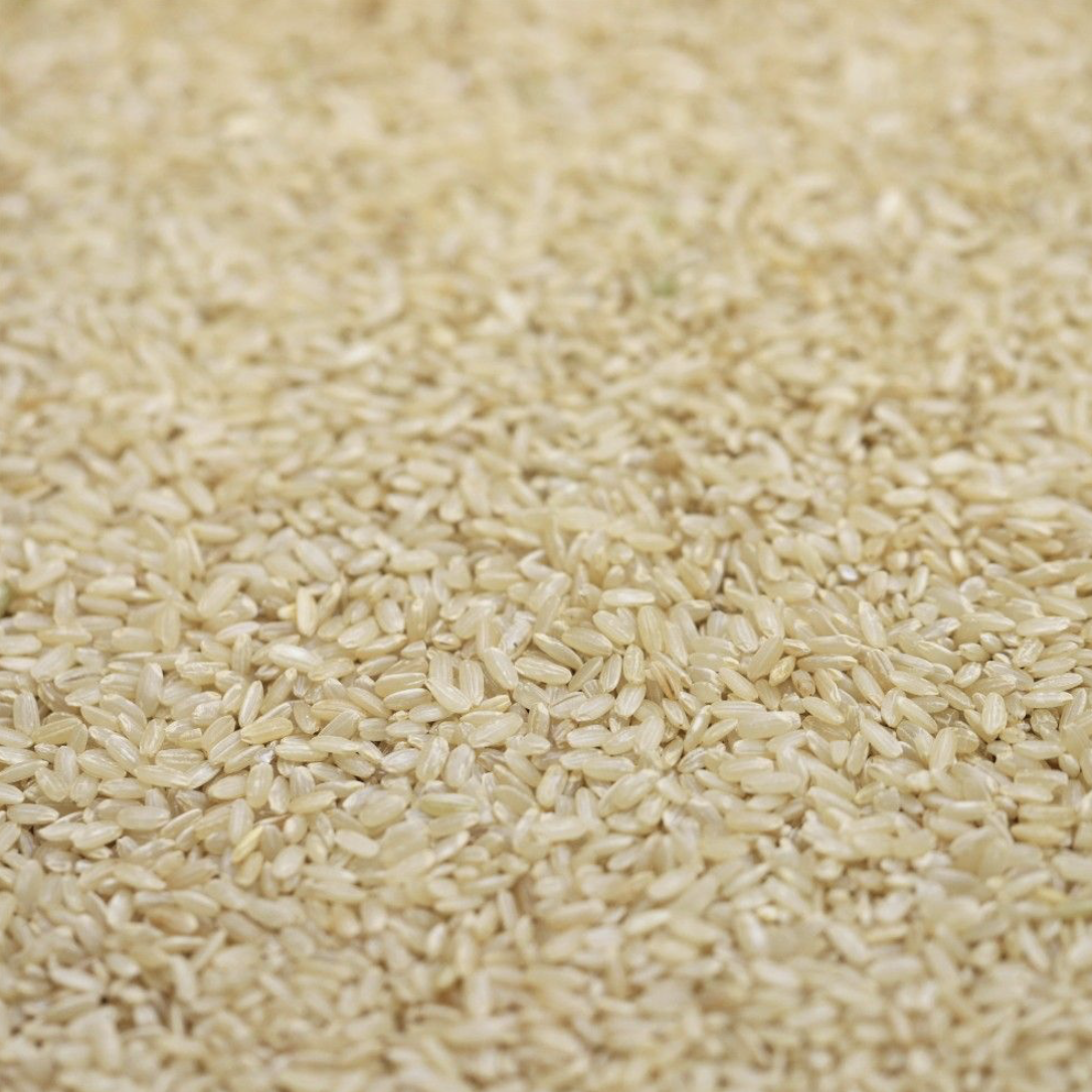 rice-brown-organic-bulk