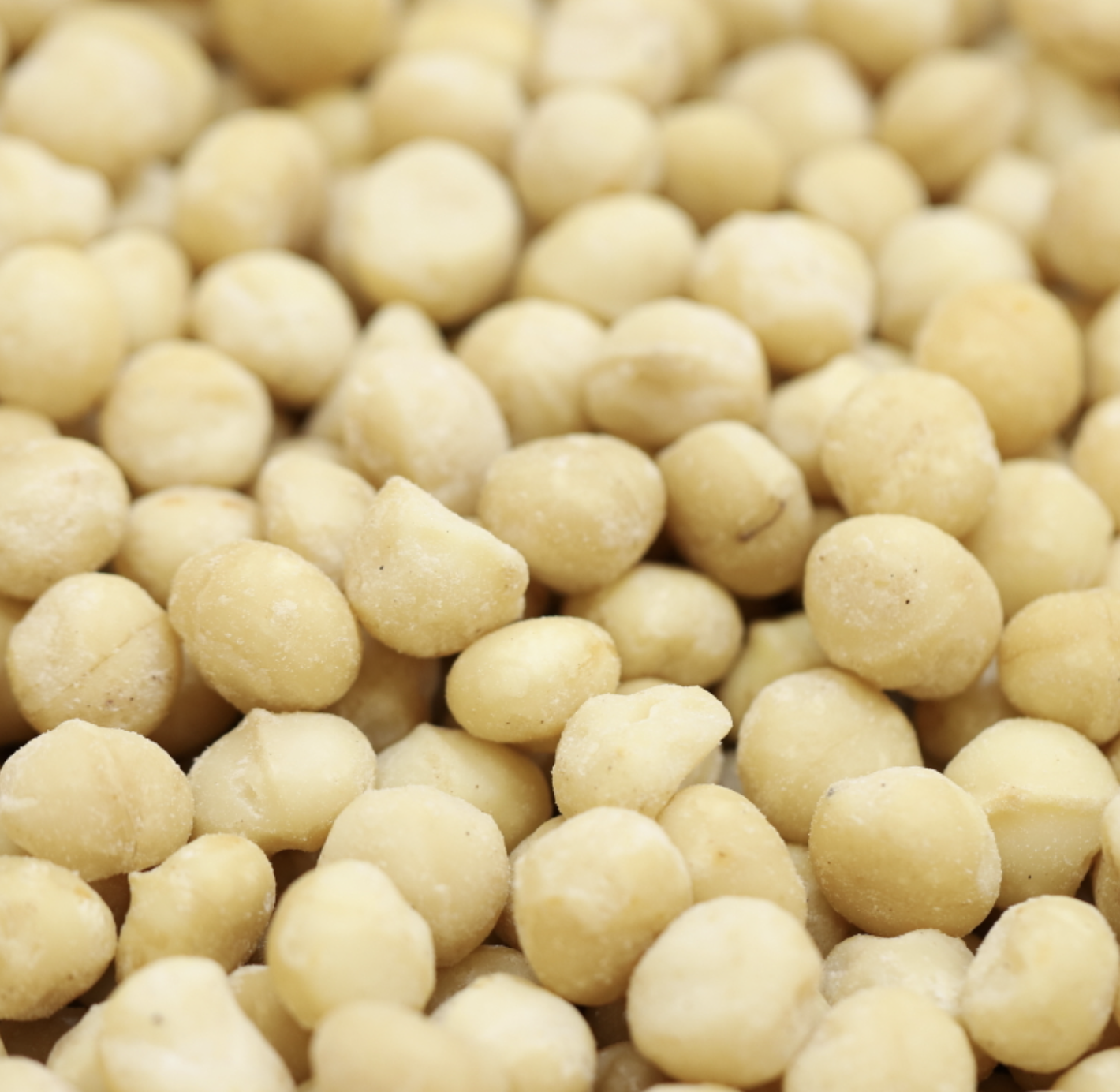 MACADAMIA BUTTER