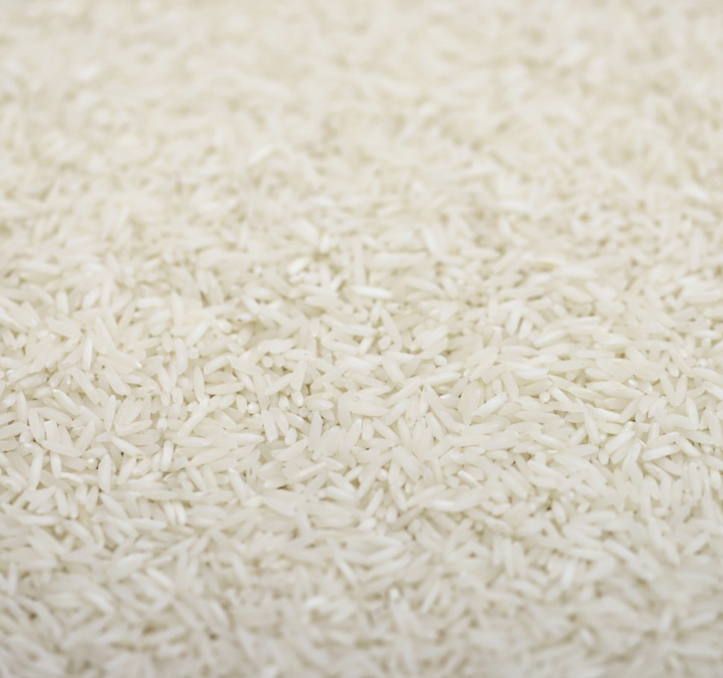 basmati-rice-organic-bulk