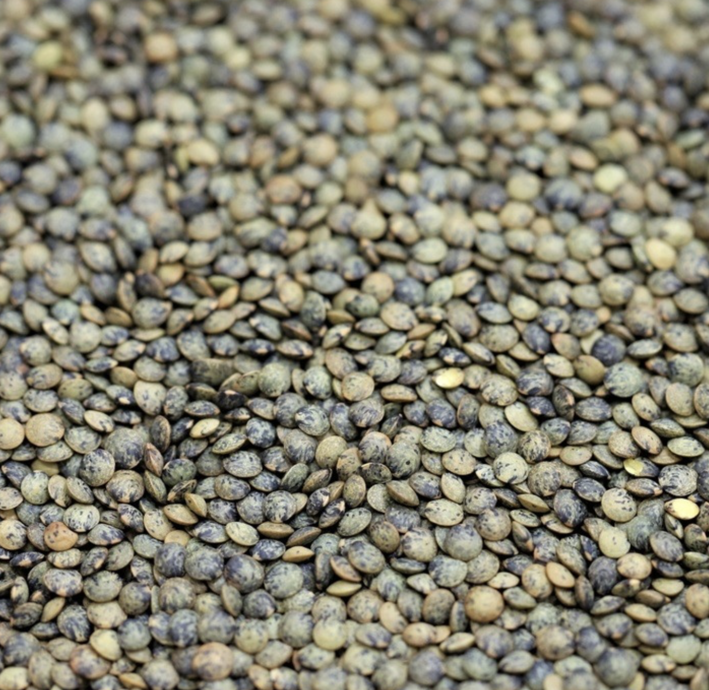 duy-puy-lentils-french-lentils-bulk