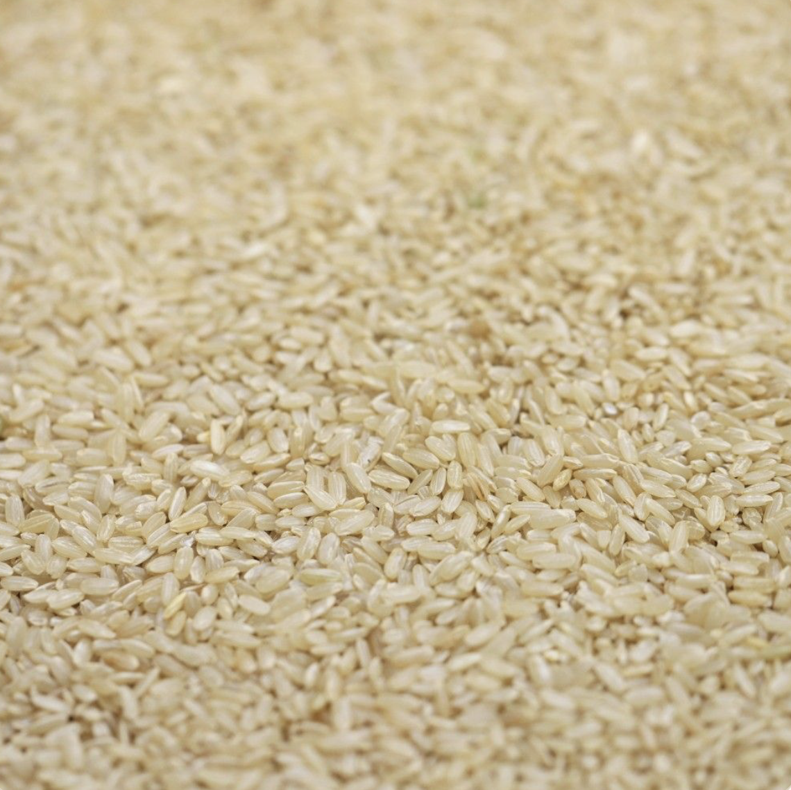 biodynamic-organic-brown-rice-bulk