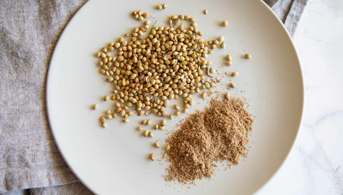 coriander-ground