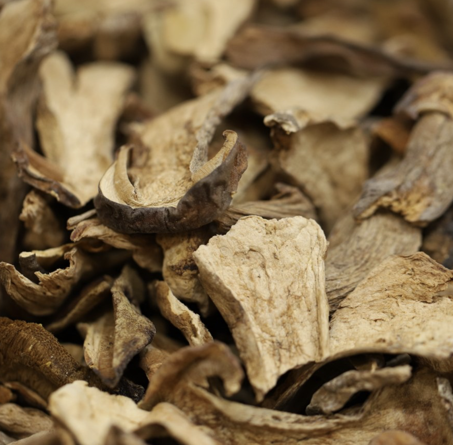 porcini-mushrooms-bulk