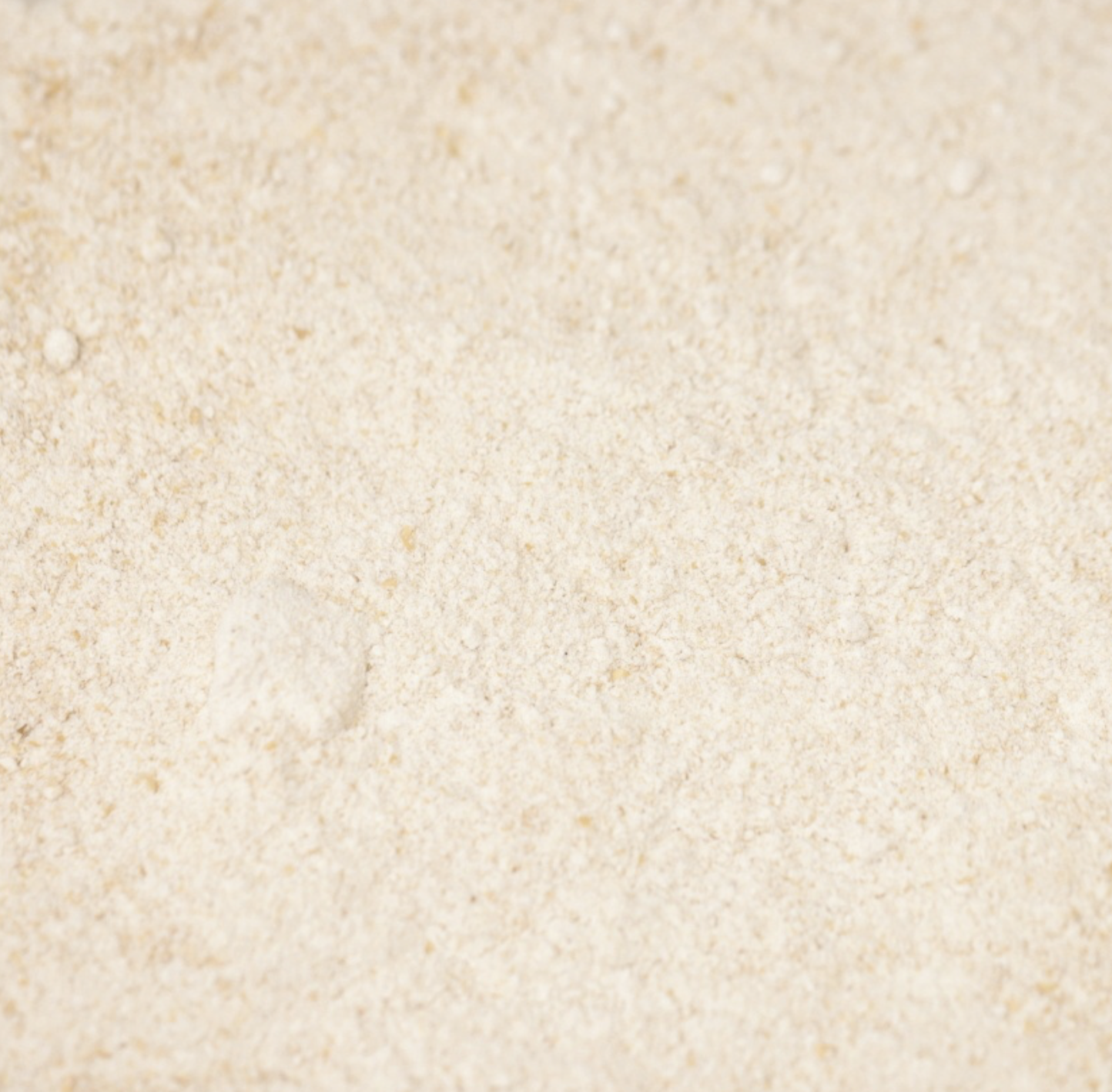 wholewheat-bakers-stoneground-flour-organic-bulk