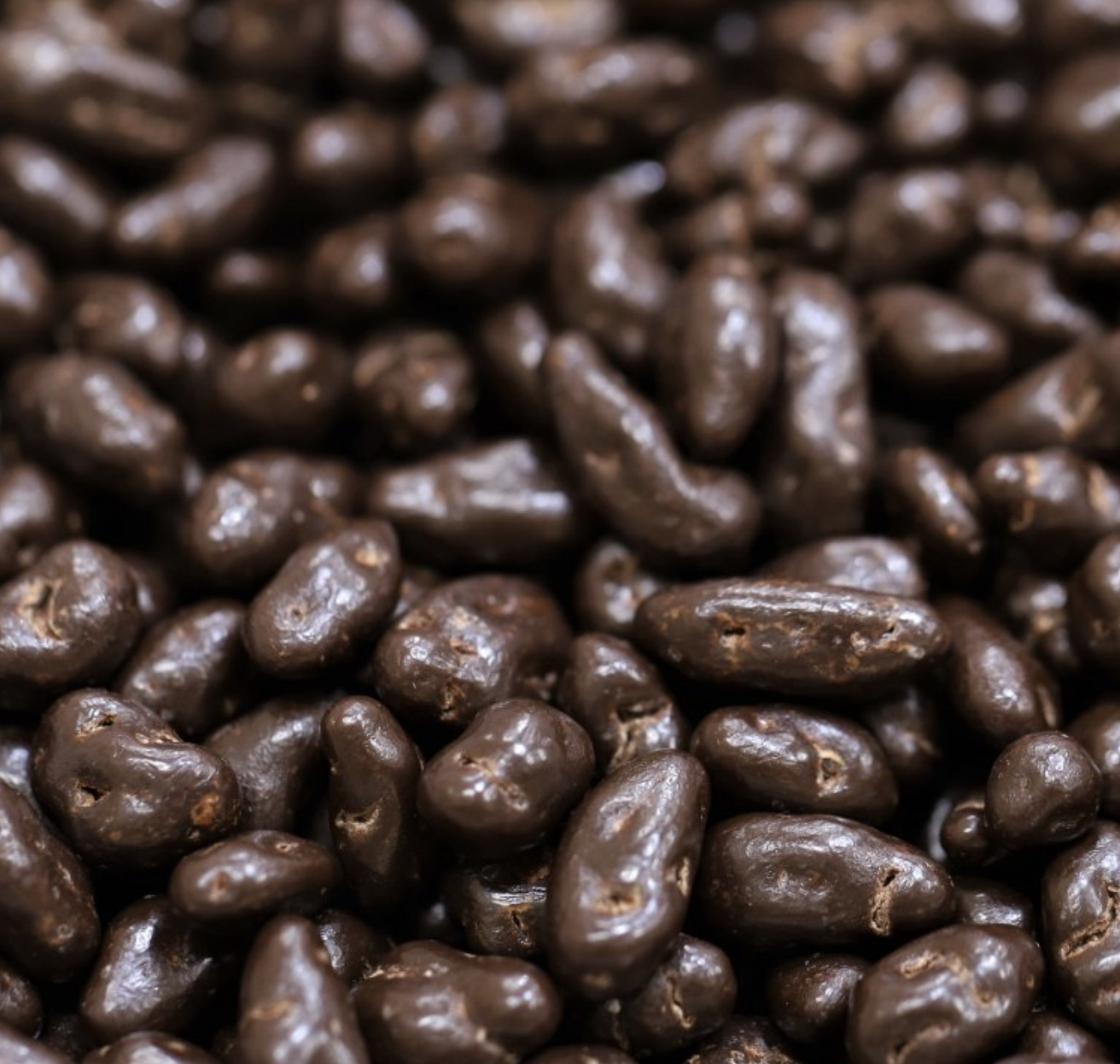 goji-berries-dark-chocolate