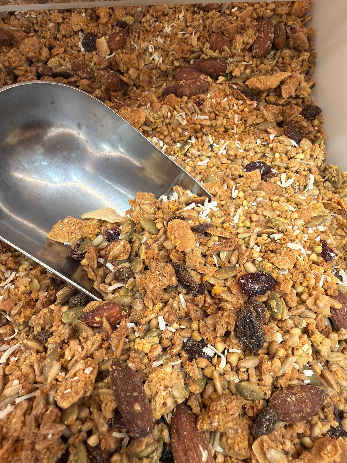 Cranberries & Coconut Natural Granola