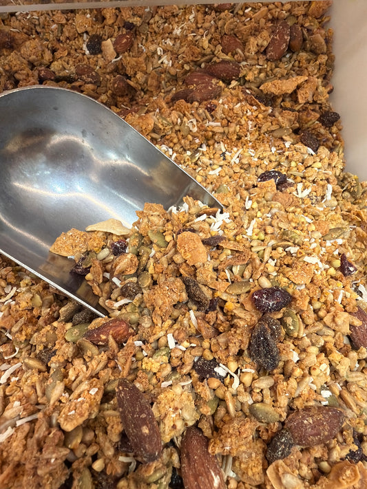 Cranberries & Coconut Natural Granola