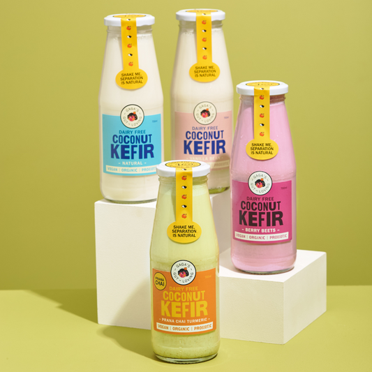 Gaga's Organic Coconut Kefir range