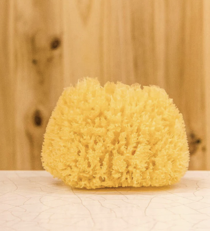Natural Sea Sponge Large