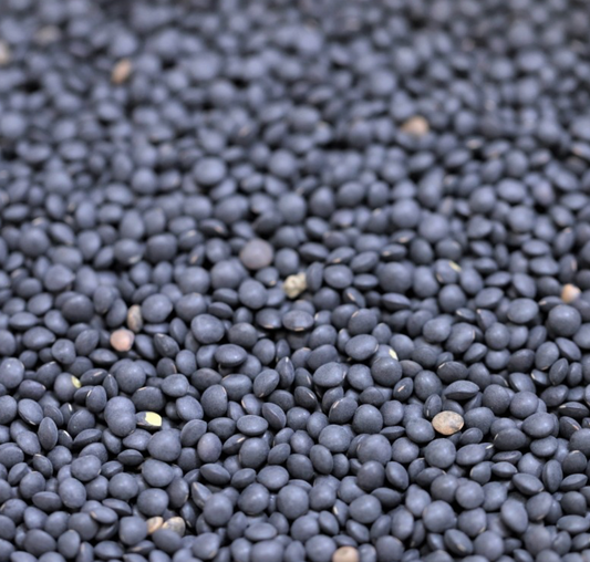 black-beluga-lentils-organic-bulk