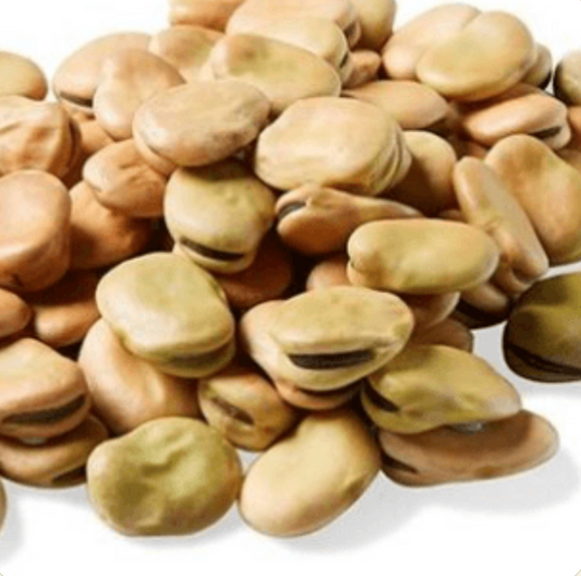 broad-beans-raw-bulk