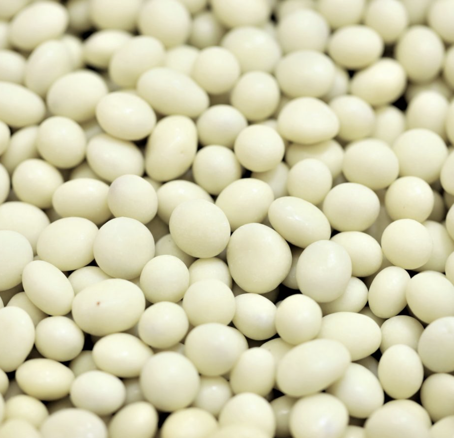yoghurt-sultanas-nas-bulk