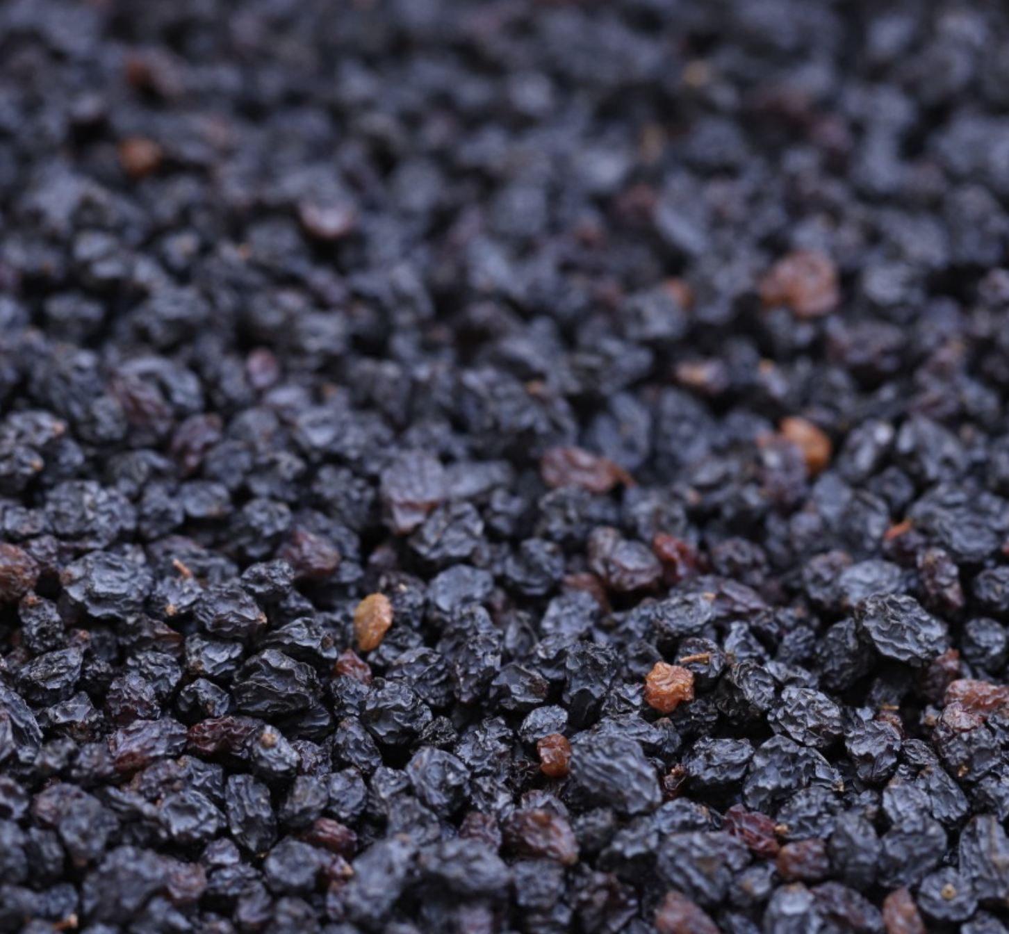 currants-dried-bulk