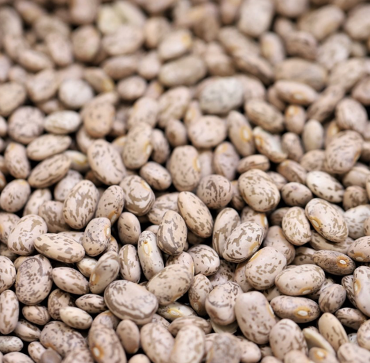 pinto-beans-bulk