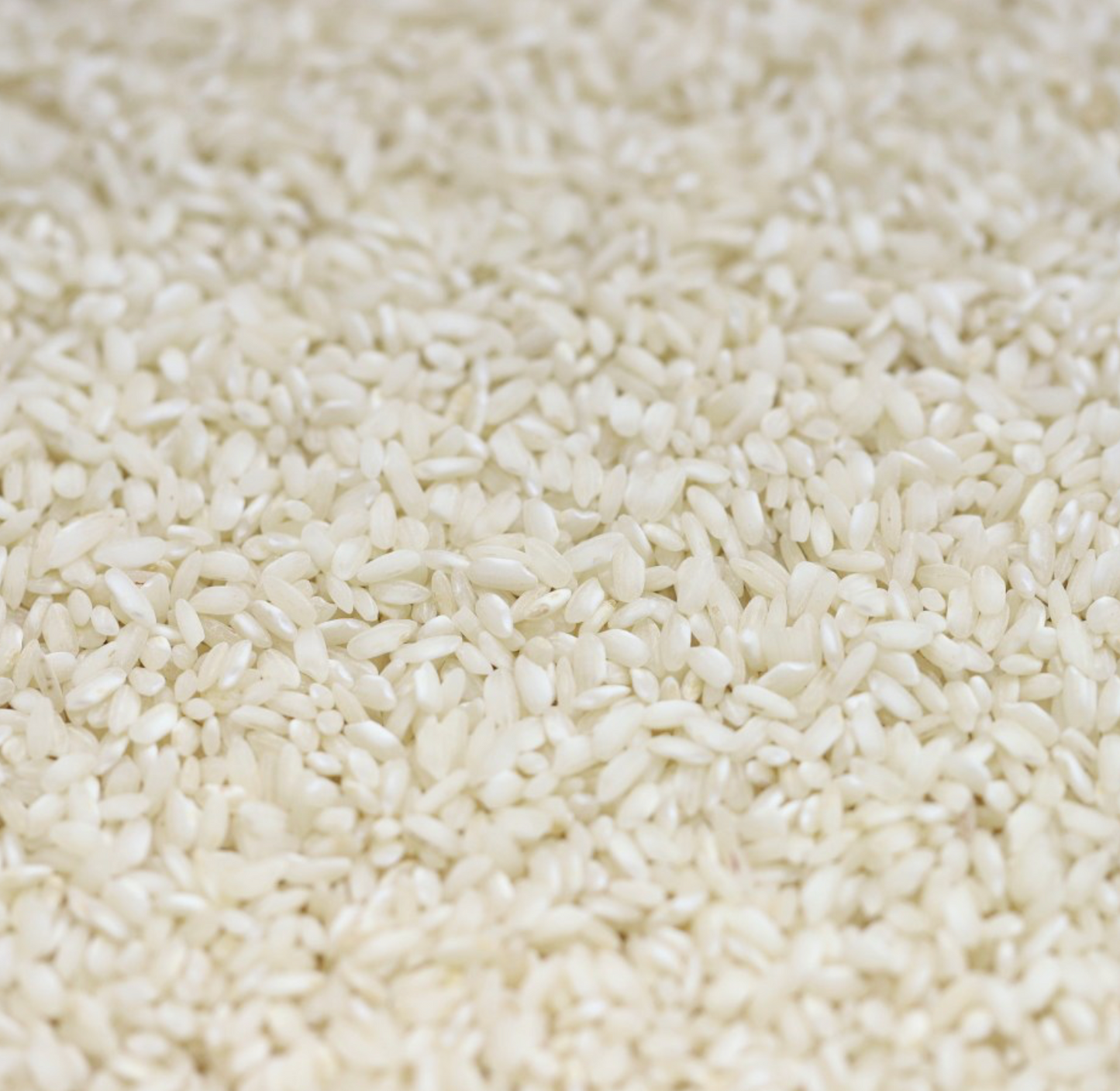 arborio-rice-bulk