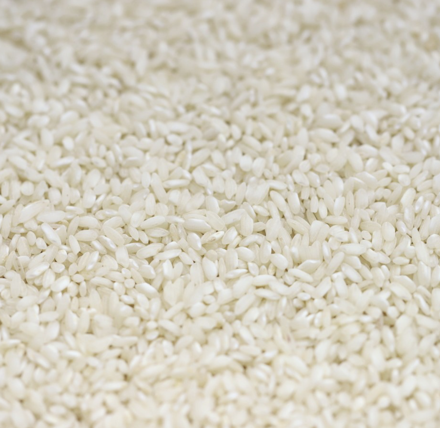 arborio-rice-bulk