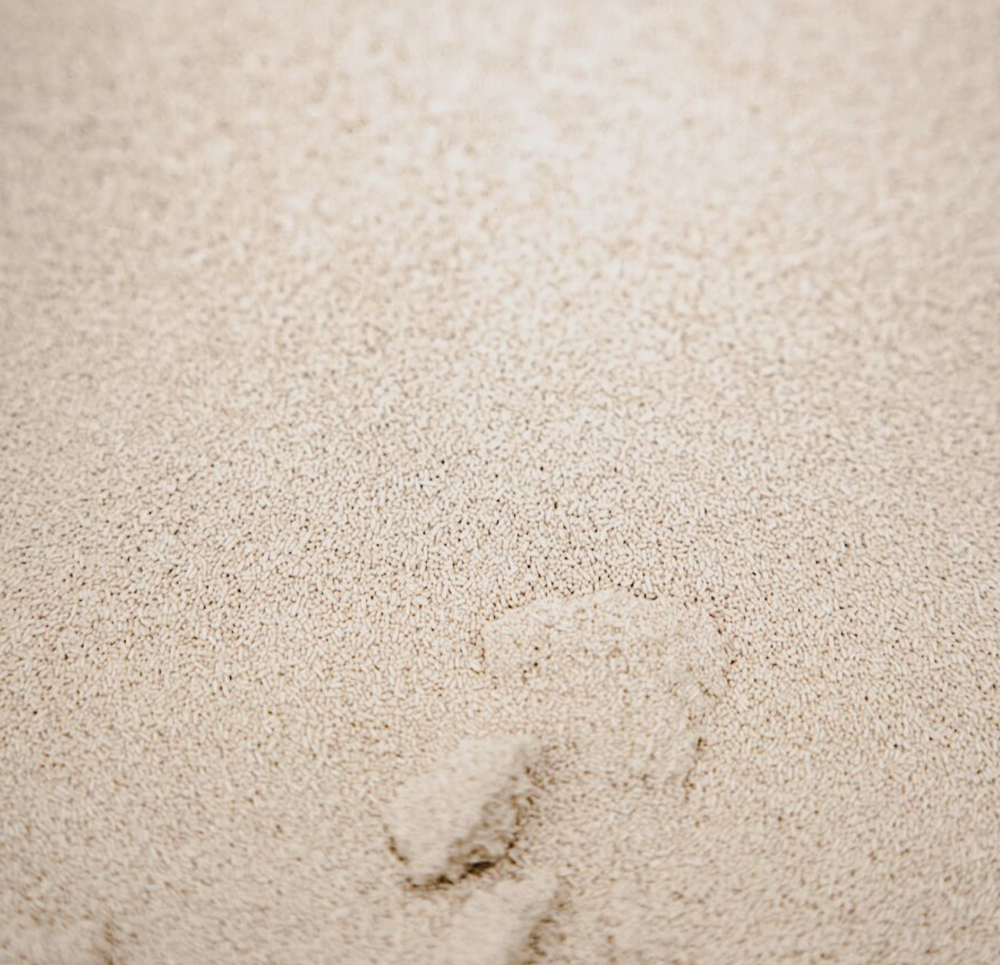 natural-instant-dried-yeast