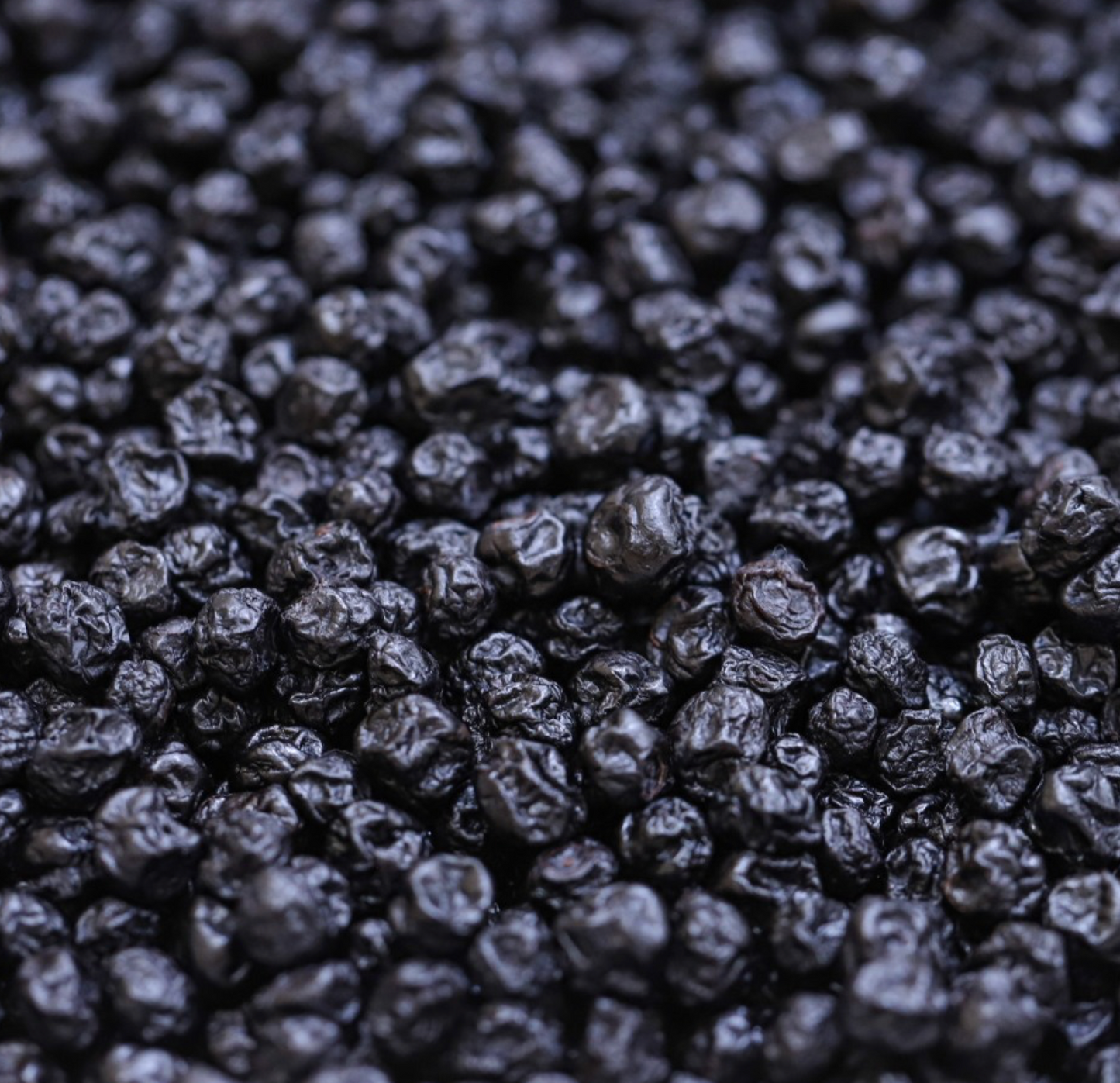 blueberries-bulk