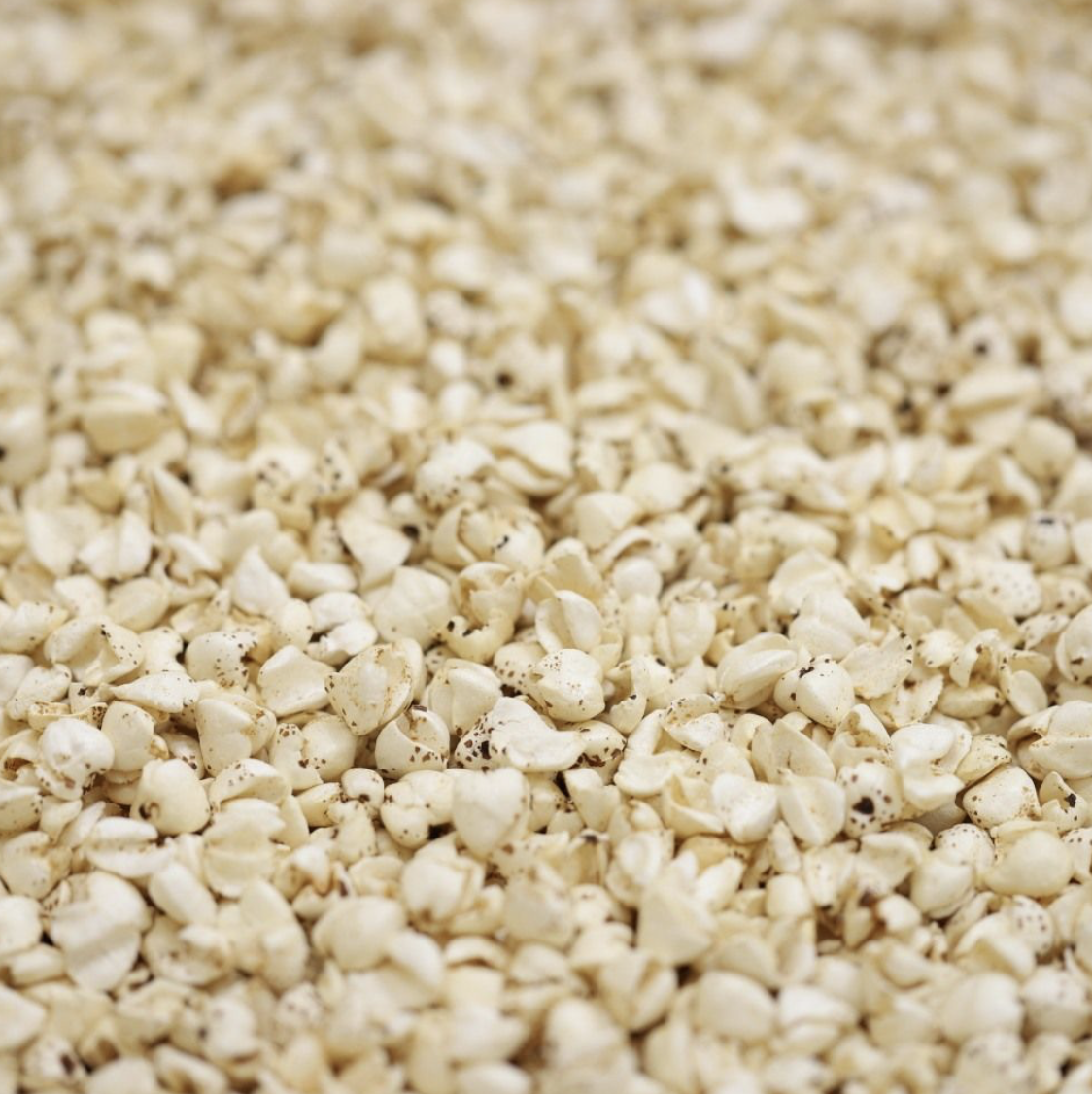 buckwheat-puffed-organic-bulk
