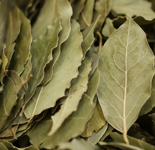 bay-leaves-bulk