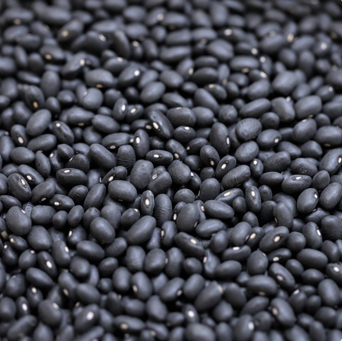 black-turtle-beans-bulk