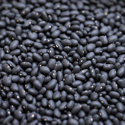 black-turtle-beans-bulk