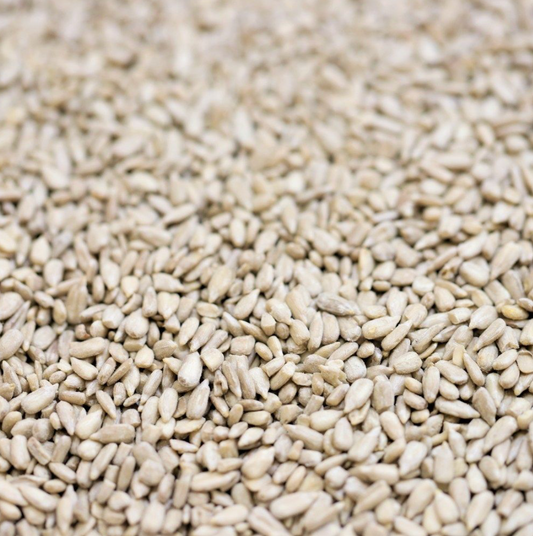 SUNFLOWER SEEDS WESTERN AUSTRALIAN - Bulk