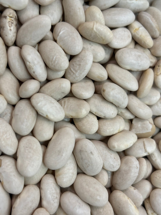 great-northern-beans-bulk