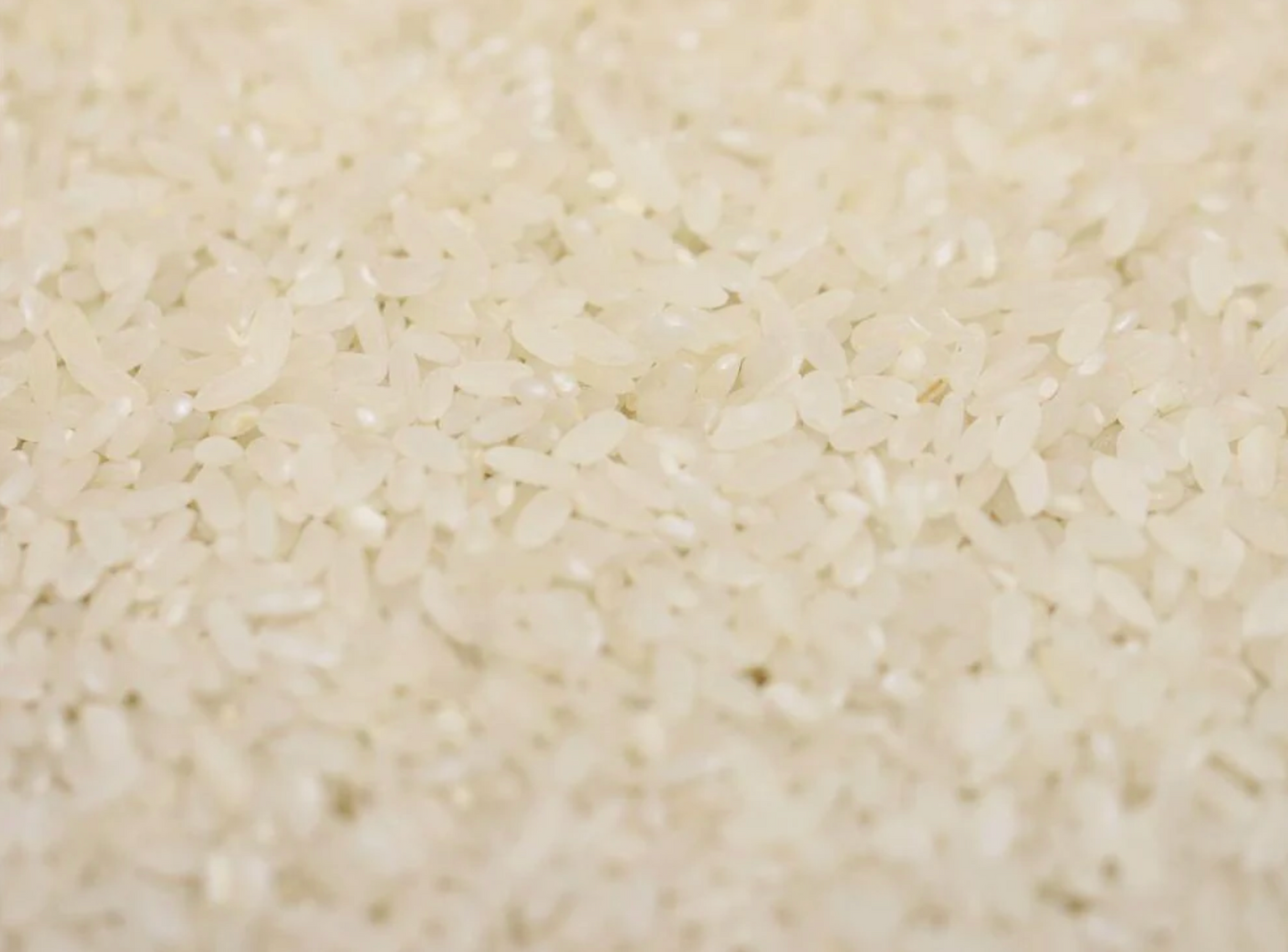 biodynamic-organic-white-rice-bulk
