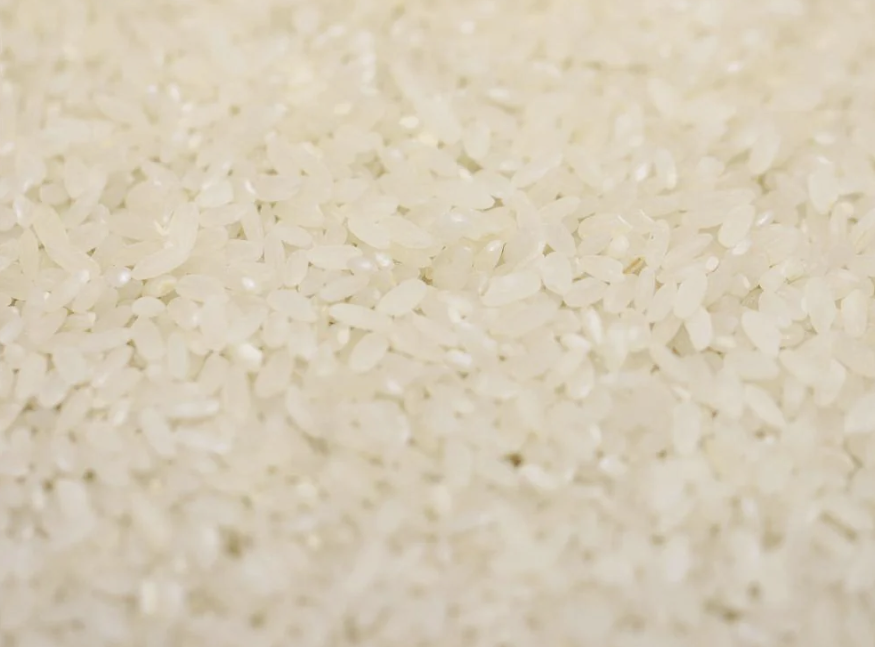 biodynamic-organic-white-rice-bulk
