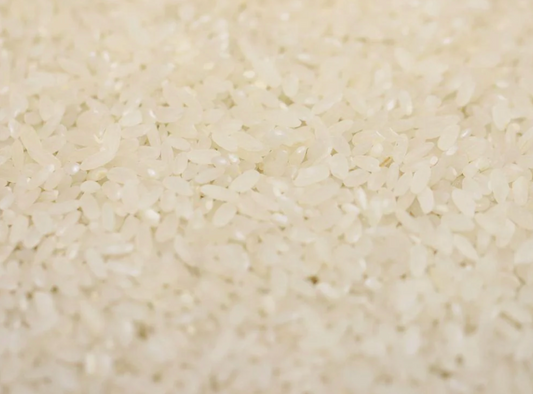 biodynamic-organic-white-rice-bulk