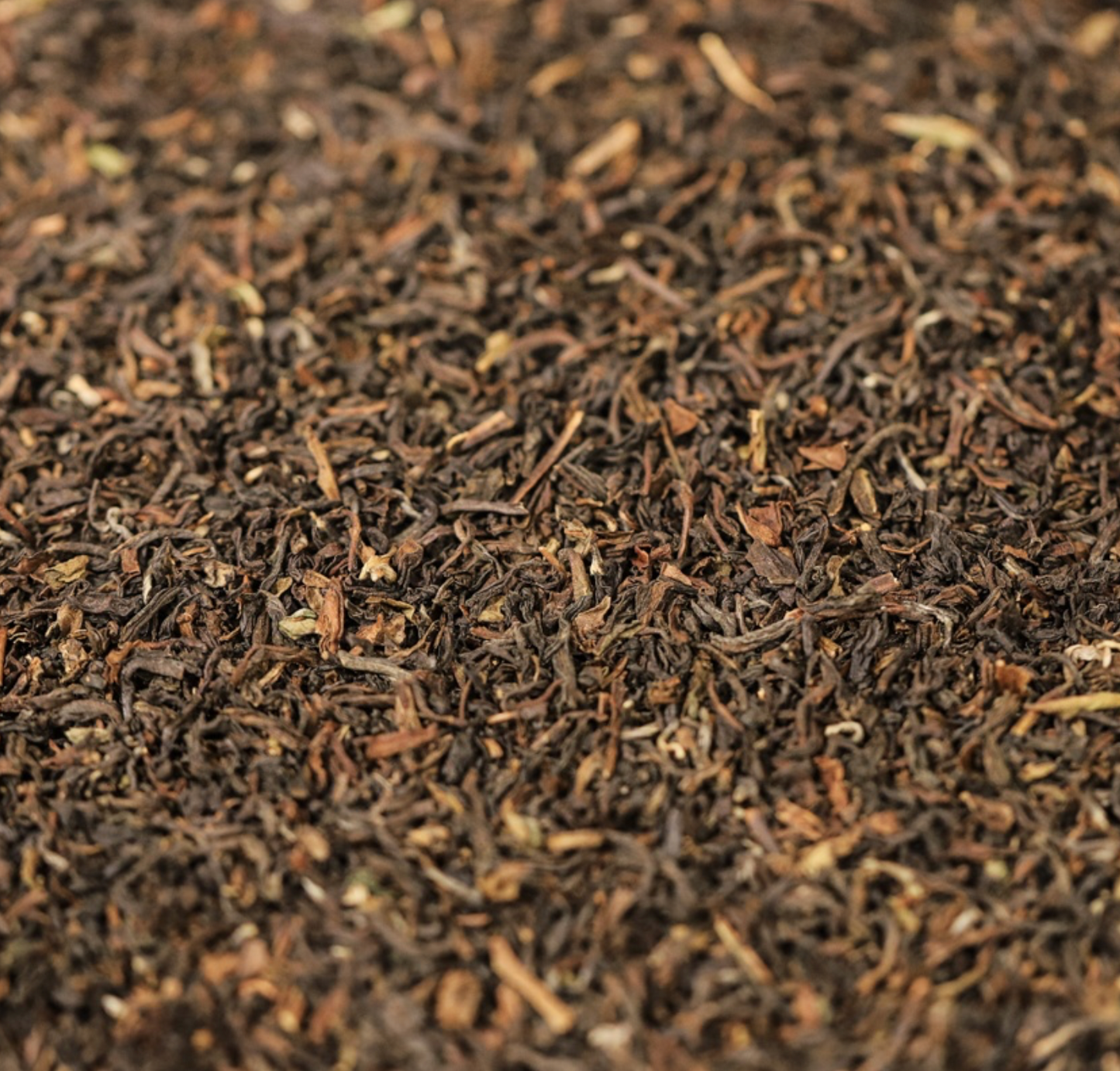 darjeeling-tea-organic-bulk
