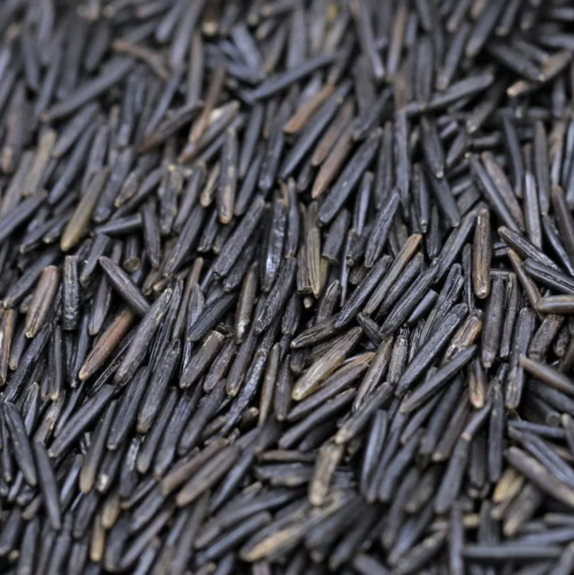 wild-rice-bulk
