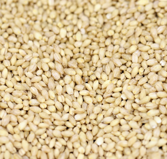barley-pearl-grain-organic-bulk