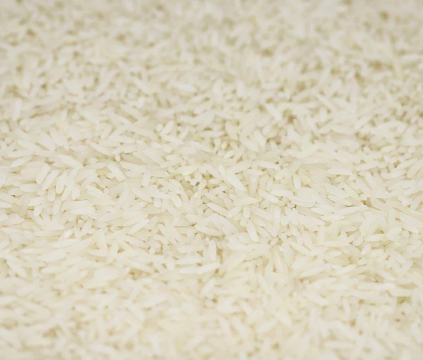 jasmine-rice-organic-bulk