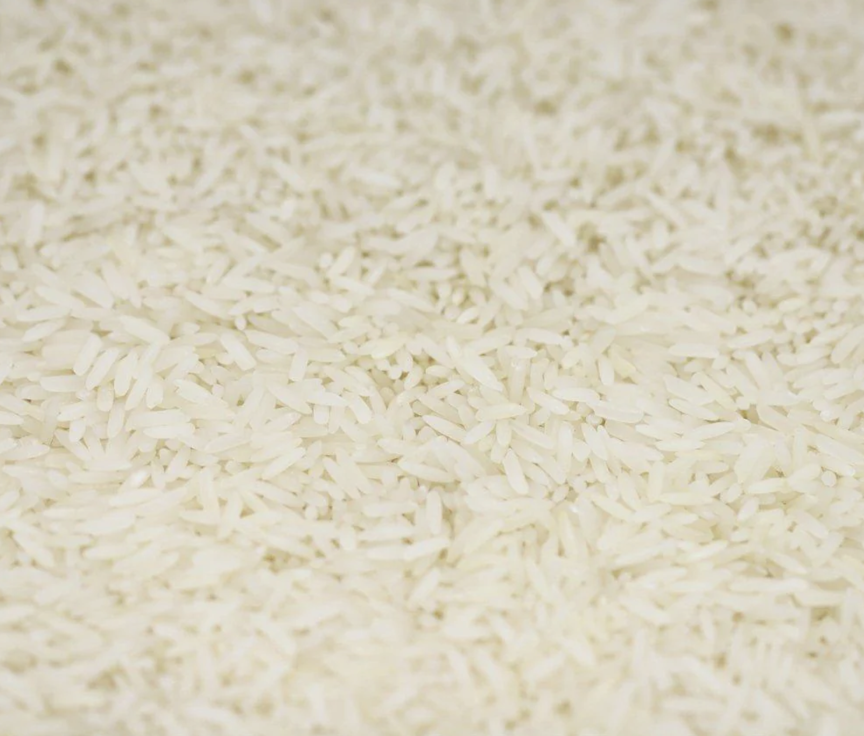 jasmine-rice-organic-bulk