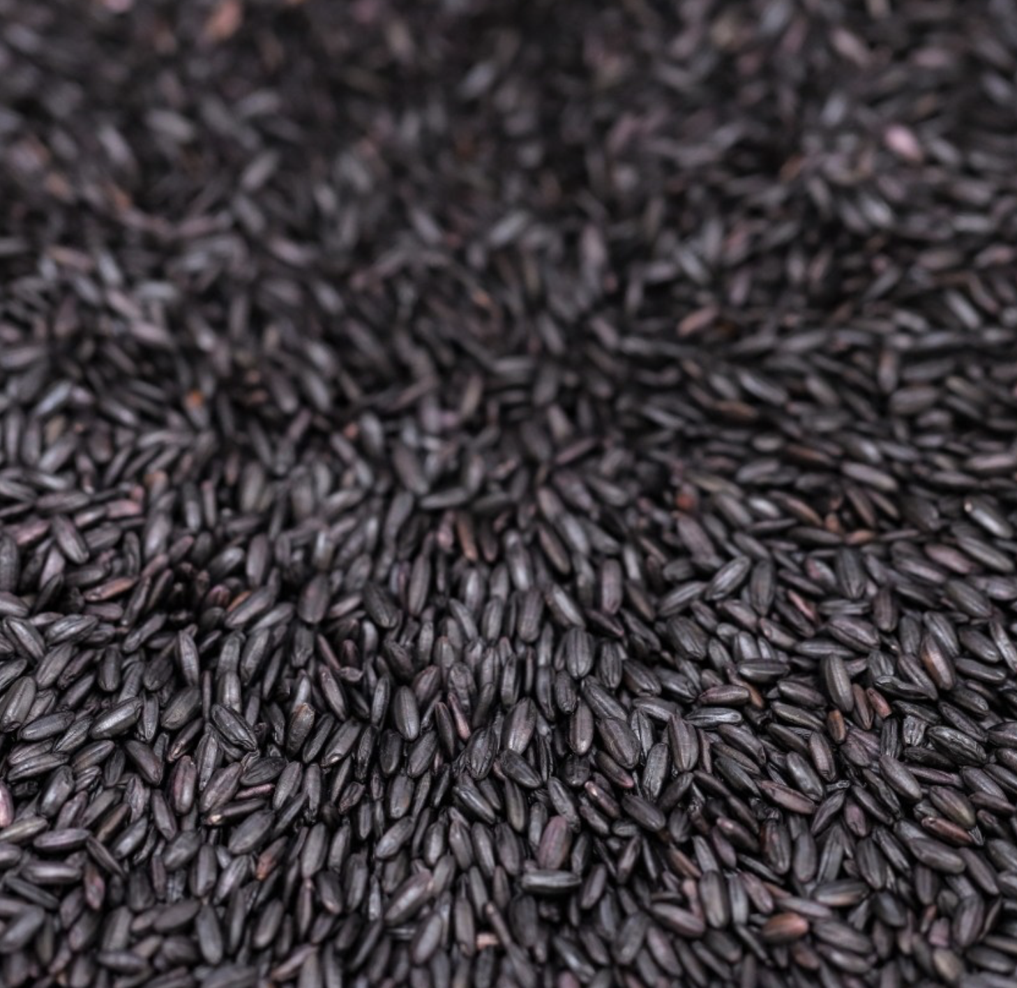 black-rice-organic-bulk