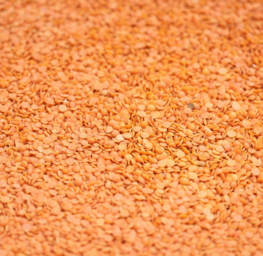 red-split-lentils-bulk