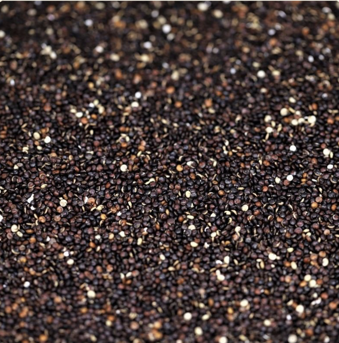 quinoa-black-organic-bulk