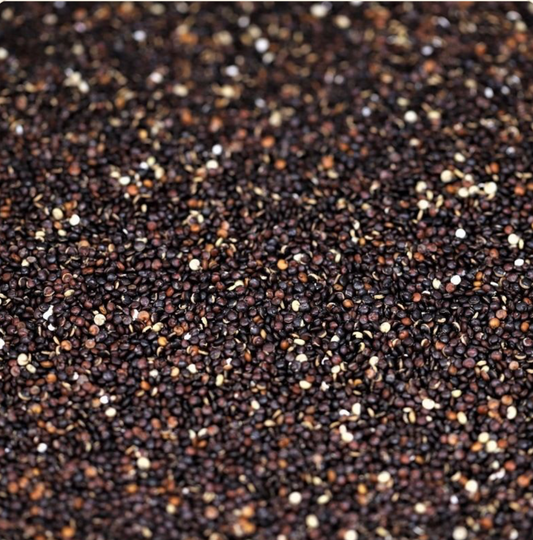 quinoa-black-organic-bulk