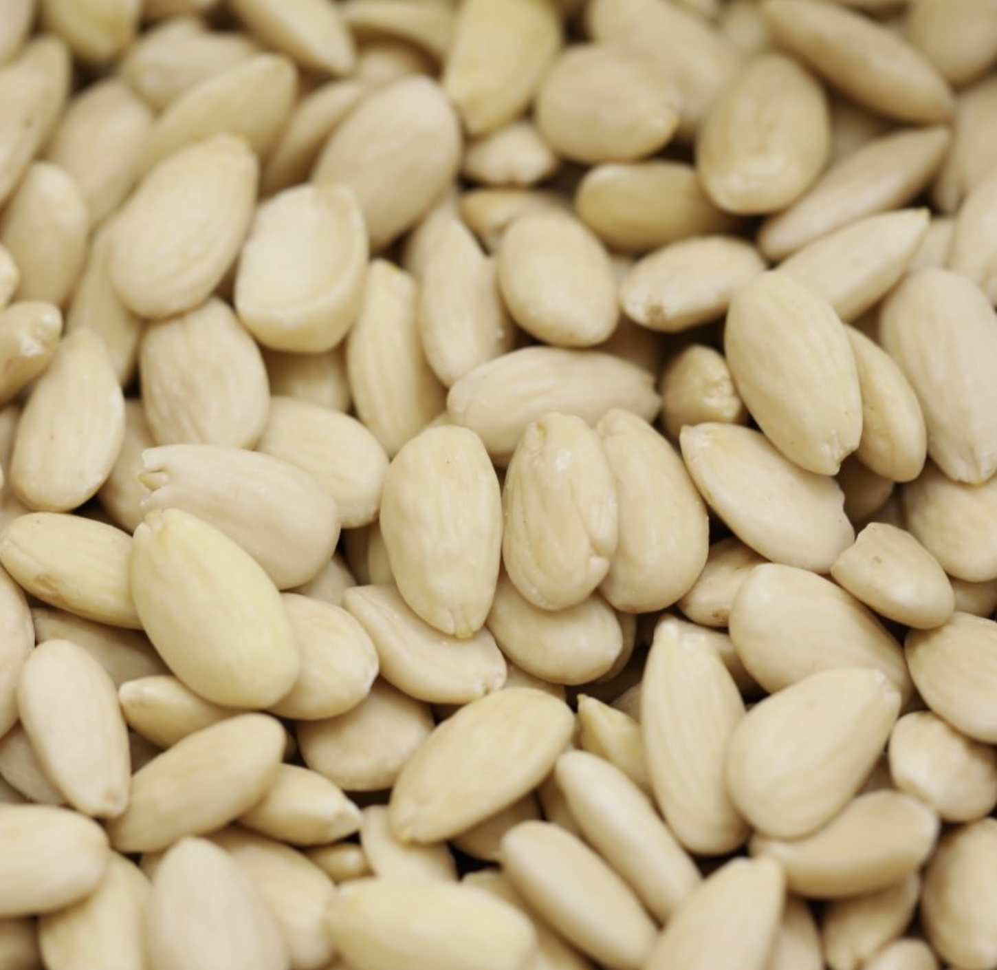 ALMONDS BLANCHED RAW - Bulk